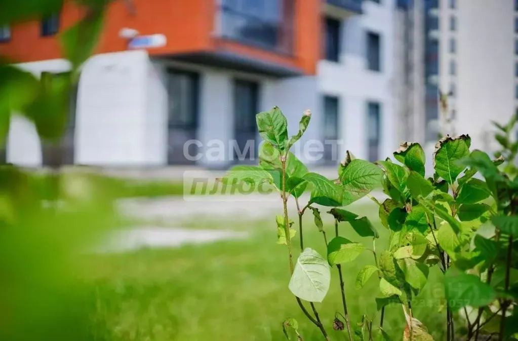 1-к кв. Омская область, Омск Волгоградская ул., 51 (40.0 м) - Фото 1