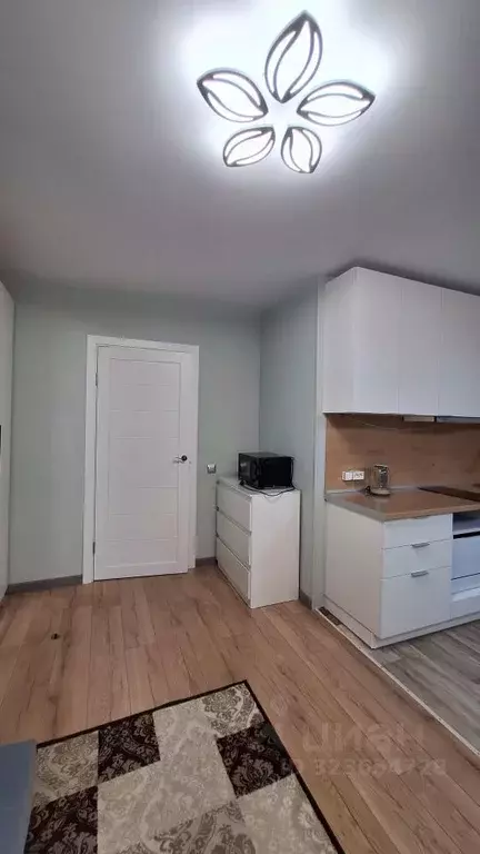 Студия Ленинградская область, Ломоносовский район, Аннинское городское ... - Фото 1