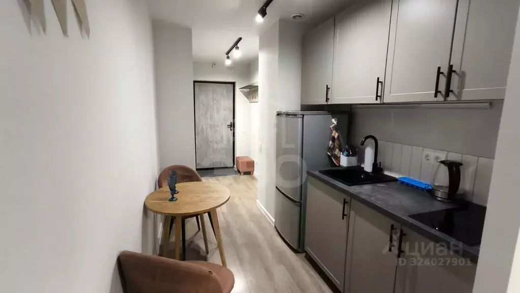 Студия Санкт-Петербург пос. Парголово, Заречная ул., 13к3 (26.3 м) - Фото 2