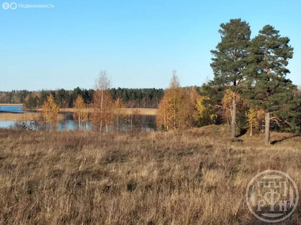 Участок в Республика Карелия, Лахденпохский муниципальный округ, ... - Фото 1