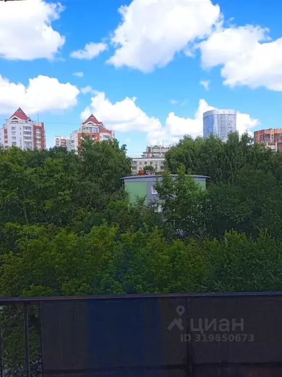 3-к кв. Новосибирская область, Новосибирск ул. Кропоткина, 106 (63.1 ... - Фото 1