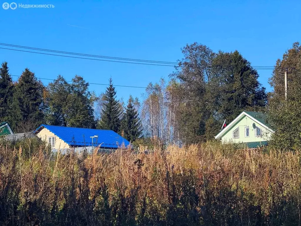 Участок в Московская область, Дмитровский муниципальный округ, КП ... - Фото 2