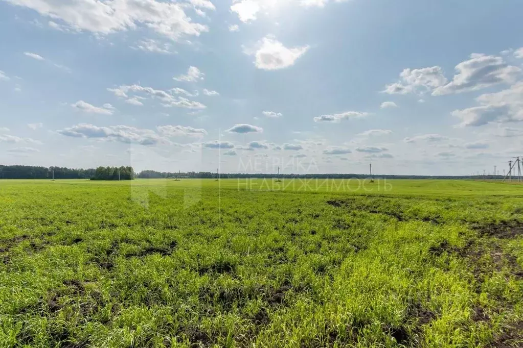Участок в Тюменская область, Тюменский муниципальный округ, ... - Фото 2