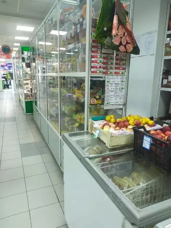 Помещение свободного назначения в Хакасия, Абакан Пирятинская ул., 01 ... - Фото 2