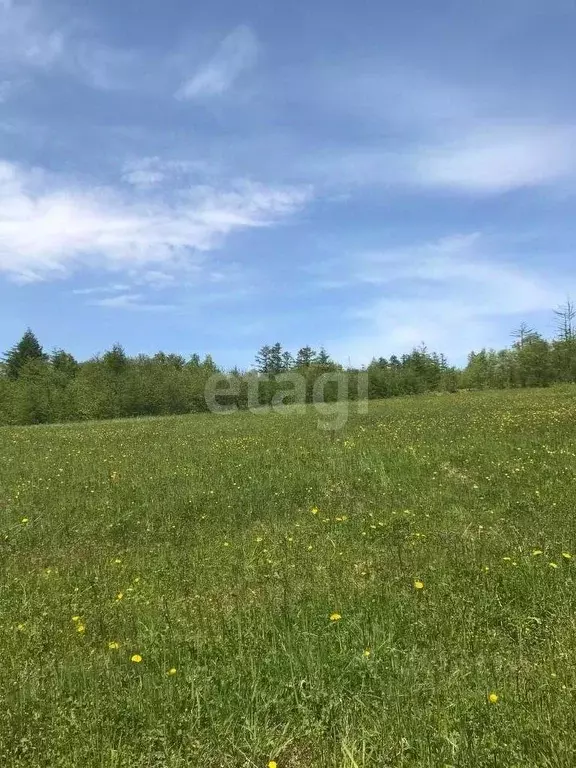 Участок в Сахалинская область, Анивский городской округ, с. ... - Фото 1