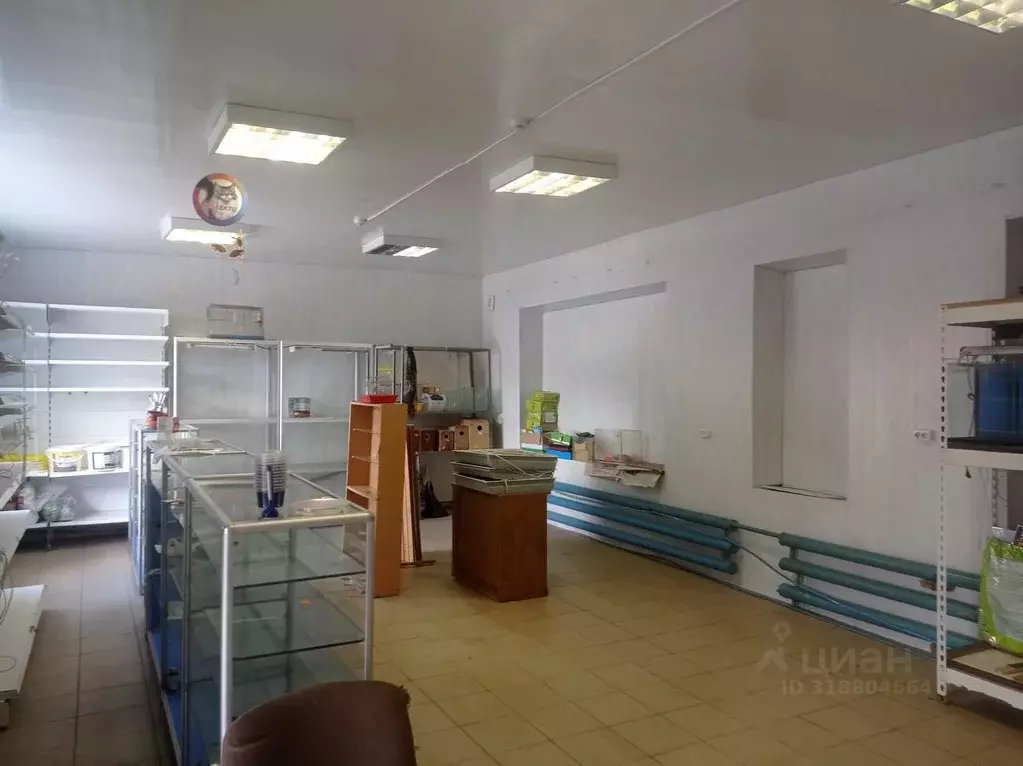 Помещение свободного назначения в Владимирская область, Владимир ул. ... - Фото 0