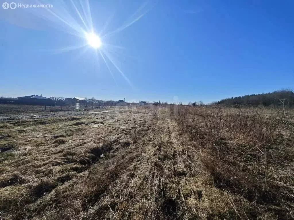 Участок в Псковский район, Тямшанская волость, деревня Тямша (95.07 м) - Фото 2