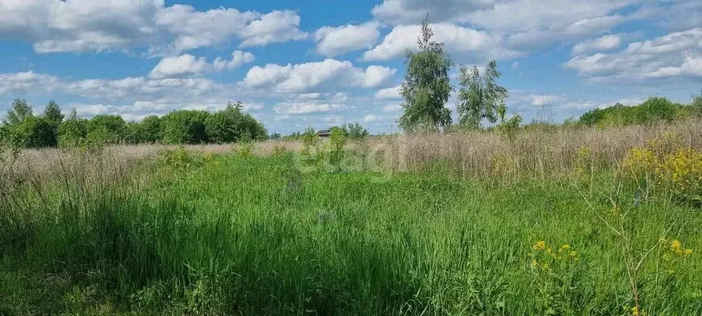 Участок в Тульская область, Новомосковск Северодонецкая ул. (15.0 ... - Фото 1