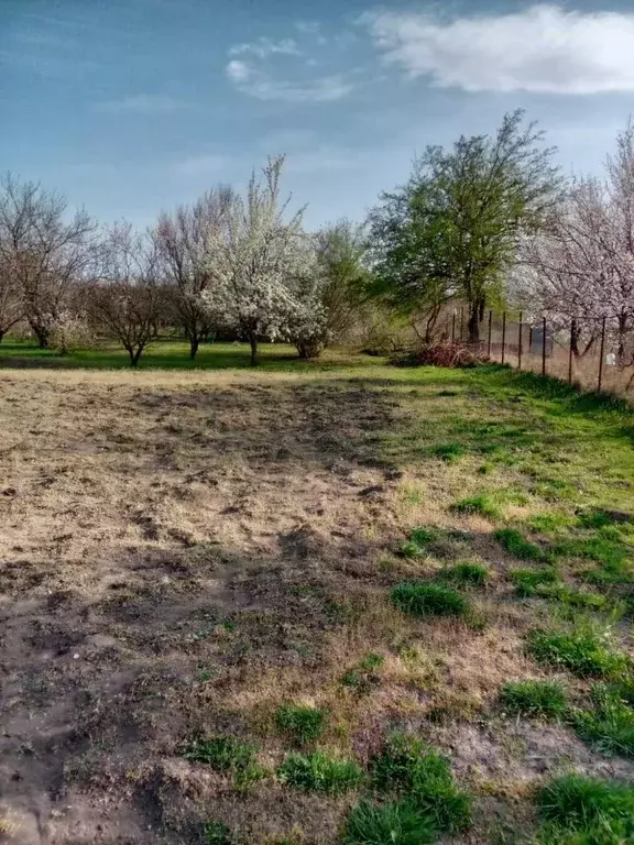Участок в Краснодарский край, Анапа муниципальный округ, Гостагаевская ... - Фото 2