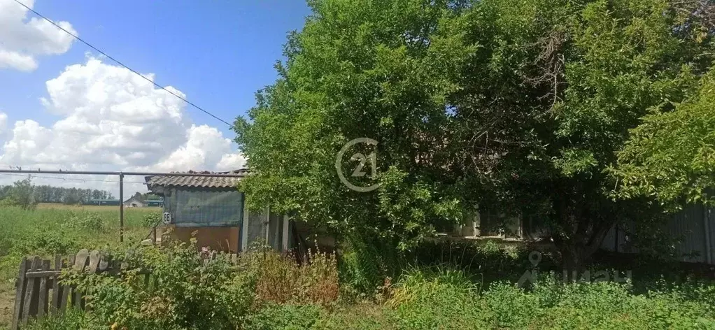 Дом в Тамбовская область, Тамбовский муниципальный округ, с. Стрельцы ... - Фото 2