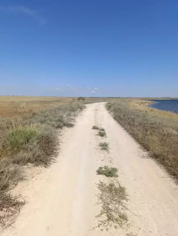 Участок в Крым, Сакский район, с. Штормовое ул. Ленина (200.0 сот.) - Фото 1