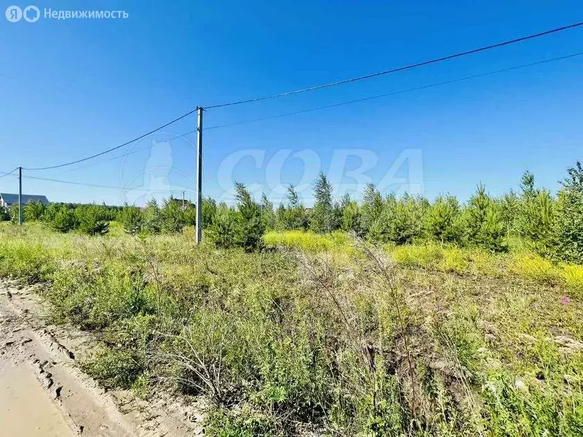 Участок в Тюменский район, село Борки (15.5 м) - Фото 0