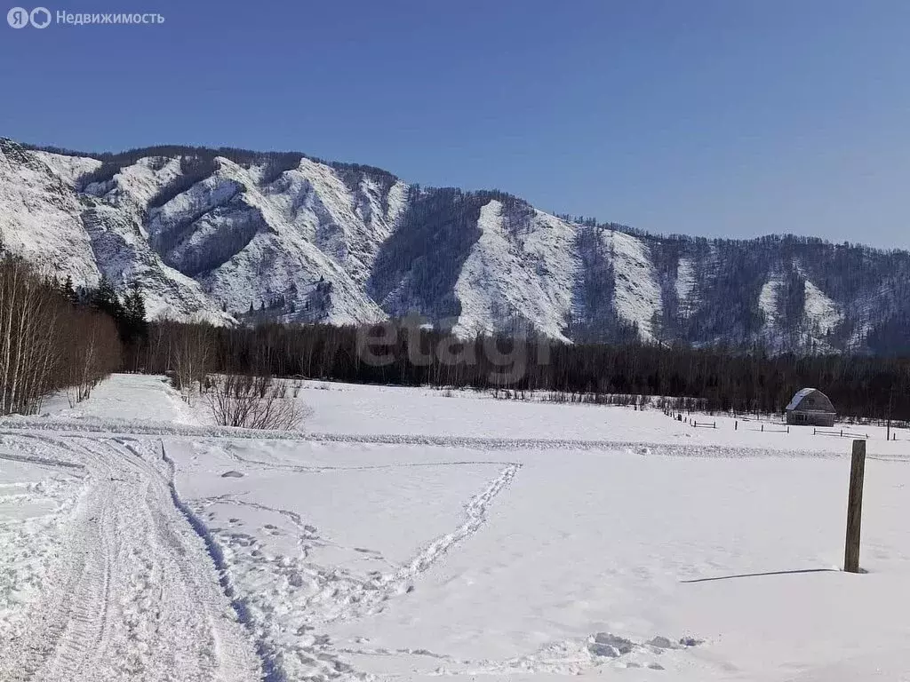 Участок в Усть-Коксинский район, село Кайтанак (20 м) - Фото 0