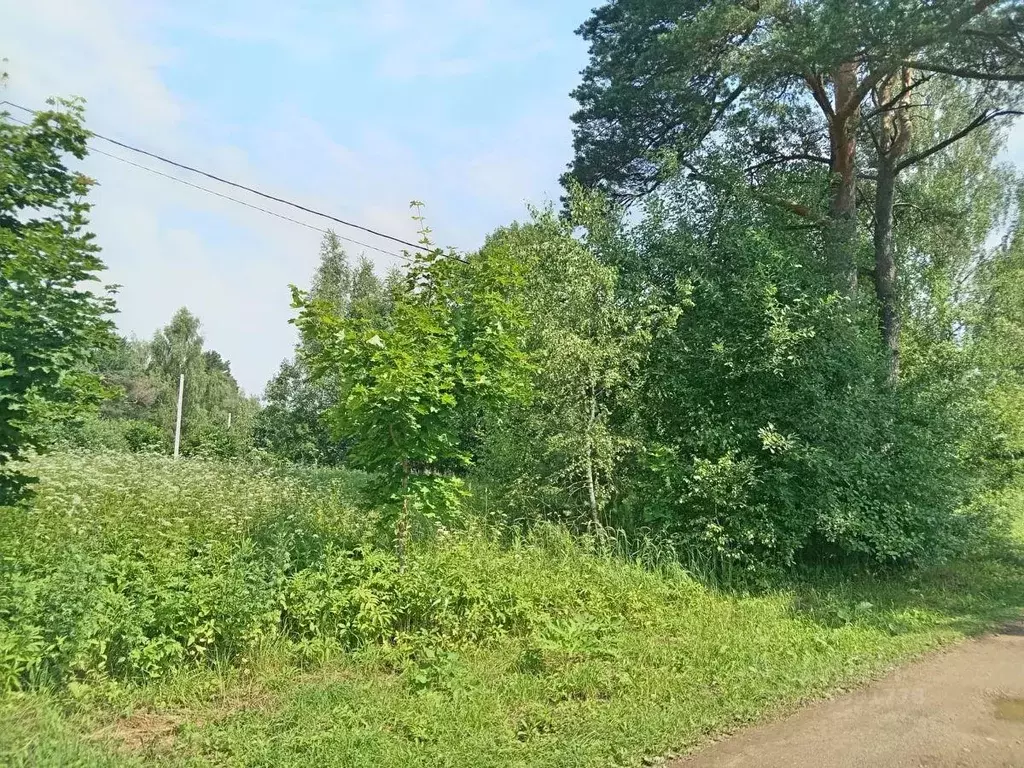 Участок, 12 сот., сельхоз (снт или днп) - Фото 0