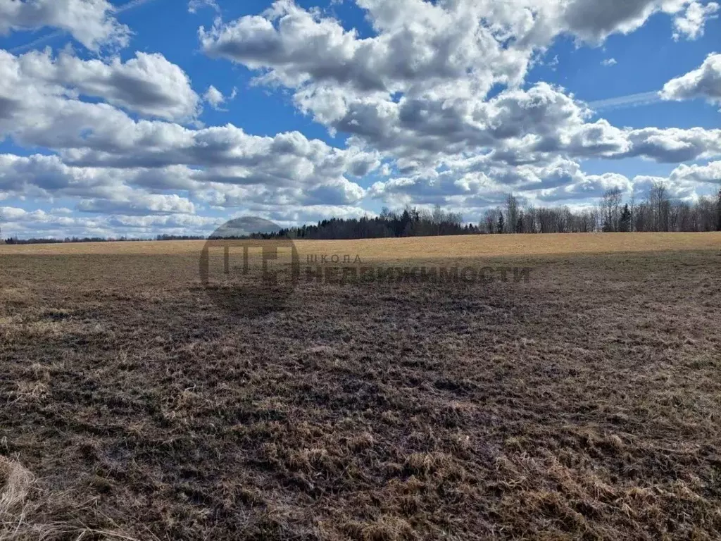 Участок в Ленинградская область, Тихвинский район, Пашозерское с/пос, ... - Фото 2