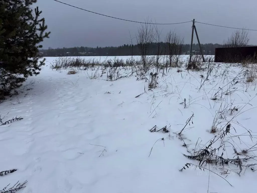 Участок в Московская область, Пушкинский городской округ, д. Никулино  ... - Фото 1