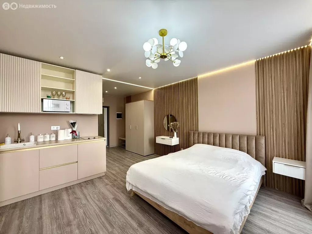 Квартира-студия: Ростов-на-Дону, проспект Ленина, 46/2 (27.45 м) - Фото 1