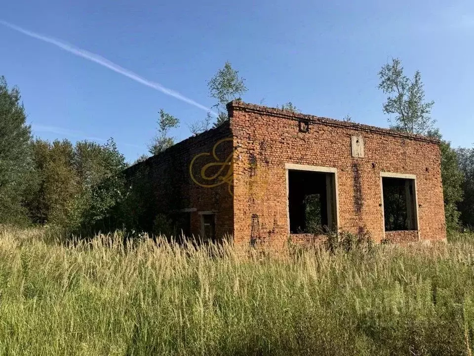 Помещение свободного назначения в Московская область, Клин городской ... - Фото 0