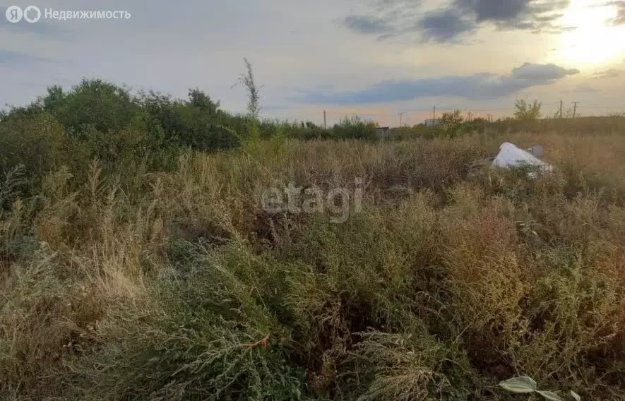 Участок в Оренбургский район, Ленинский сельсовет, СТ Каскад (8 м) - Фото 1