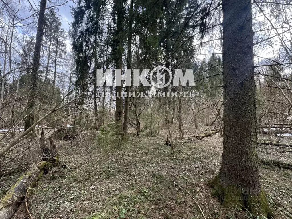 Участок в Московская область, Мытищи городской округ, д. Голенищево, ... - Фото 2