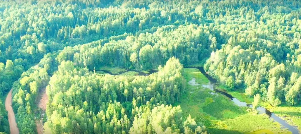 Участок 70 га (СНТ, ДНП) - Фото 1