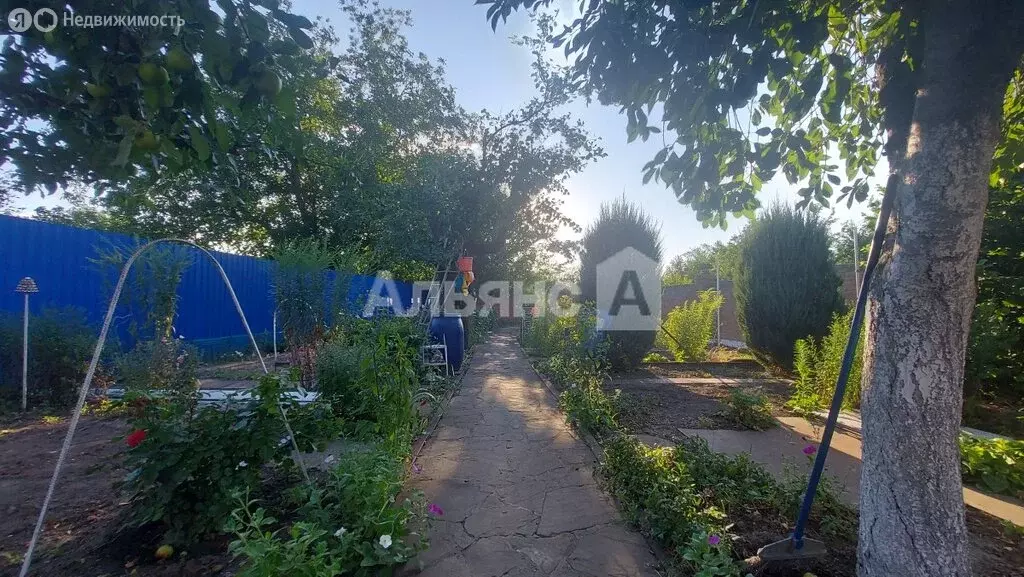 Участок в Шахты, переулок Курчатова (5.5 м) - Фото 1
