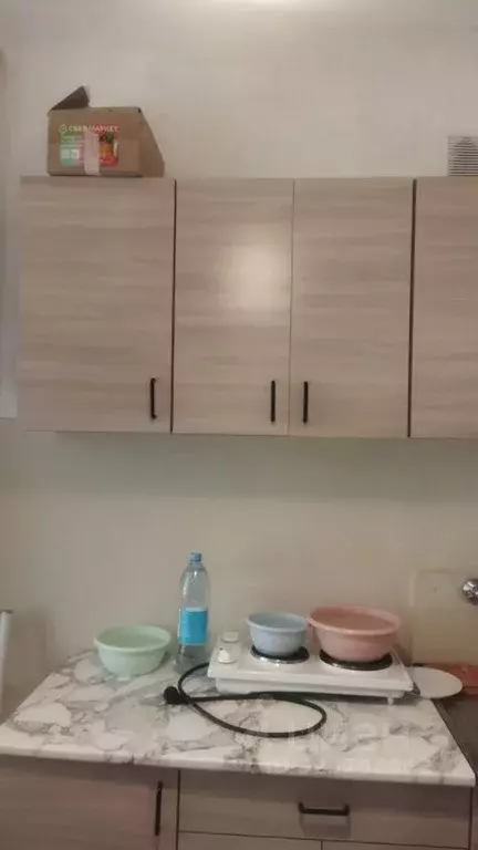 1-к кв. Новосибирская область, Новосибирск ул. Гоголя, 17А (29.0 м) - Фото 2