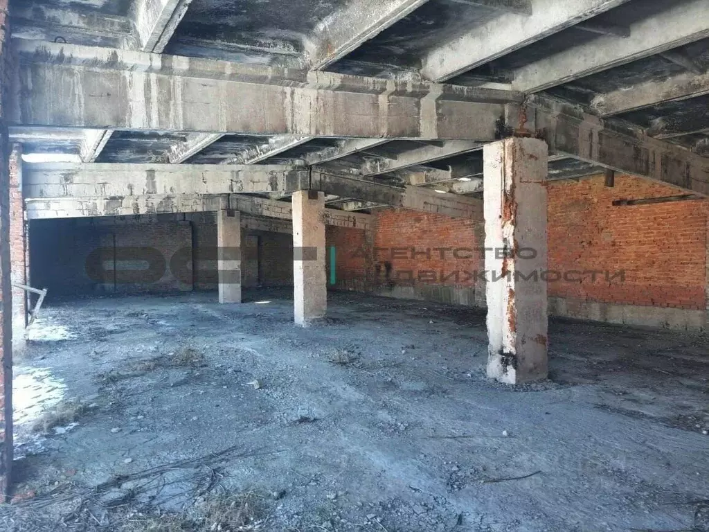 Склад в Тульская область, Тула городской округ, д. Барсуки ул. ... - Фото 1