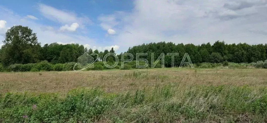 Участок в Тюменская область, Тюменский район, с. Борки  (55.17 сот.) - Фото 0