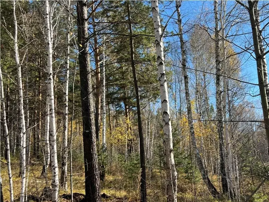 Дом в Иркутская область, Иркутский муниципальный округ, Маркова рп, ... - Фото 2