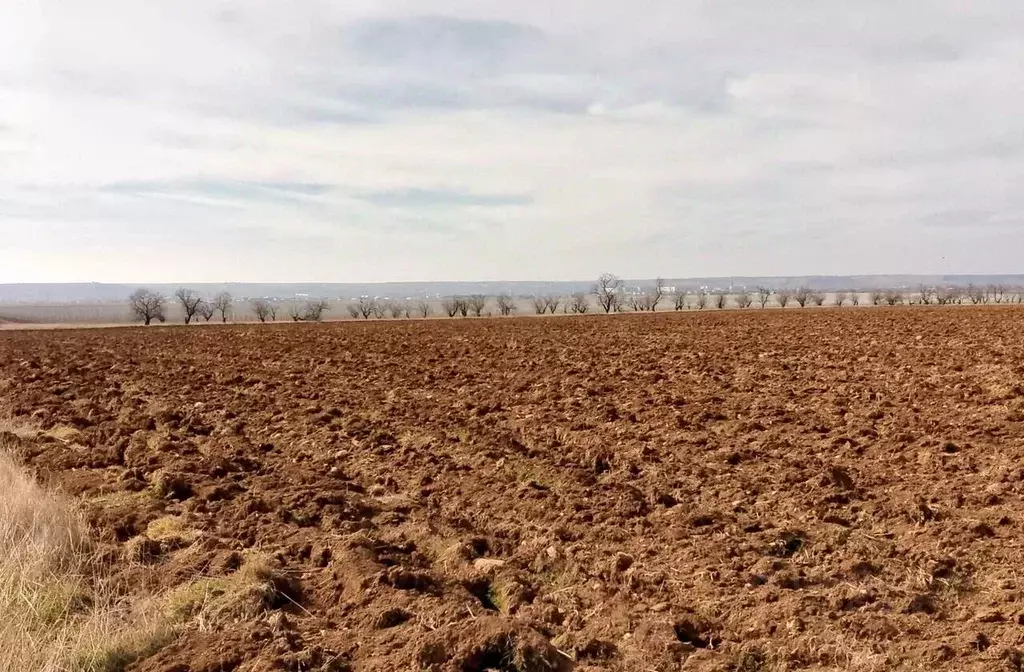 Участок в Крым, Бахчисарайский район, с. Вилино ул. Ленина (620.0 ... - Фото 0