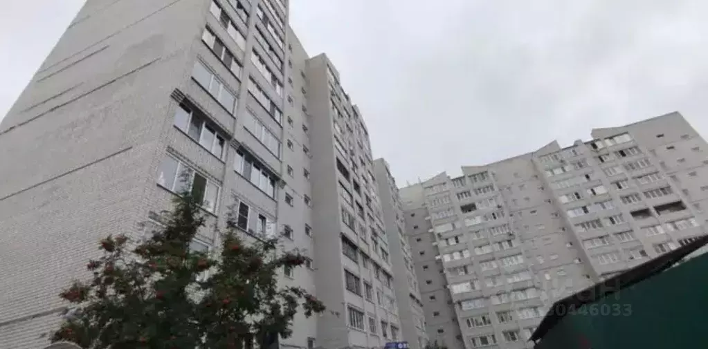 Студия Алтайский край, Барнаул ул. Кутузова, 16Г (24.0 м) - Фото 1