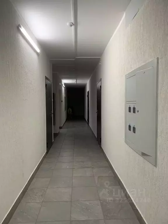 3-к кв. Красноярский край, Красноярск ул. Лесников, 37 (54.2 м) - Фото 1