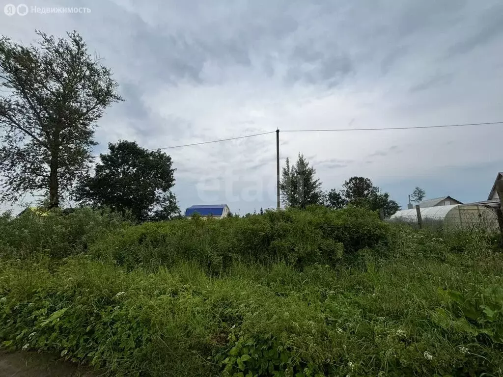 Участок в Остров, Советская улица (13.69 м) - Фото 0