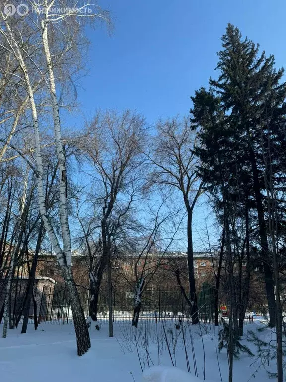 1-комнатная квартира: Новосибирск, проспект Дзержинского, 30/3 (32 м) - Фото 0