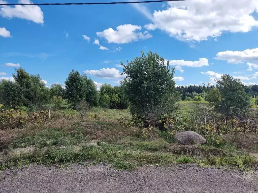 Участок в Ленинградская область, Ломоносовский район, Гостилицкое ... - Фото 1