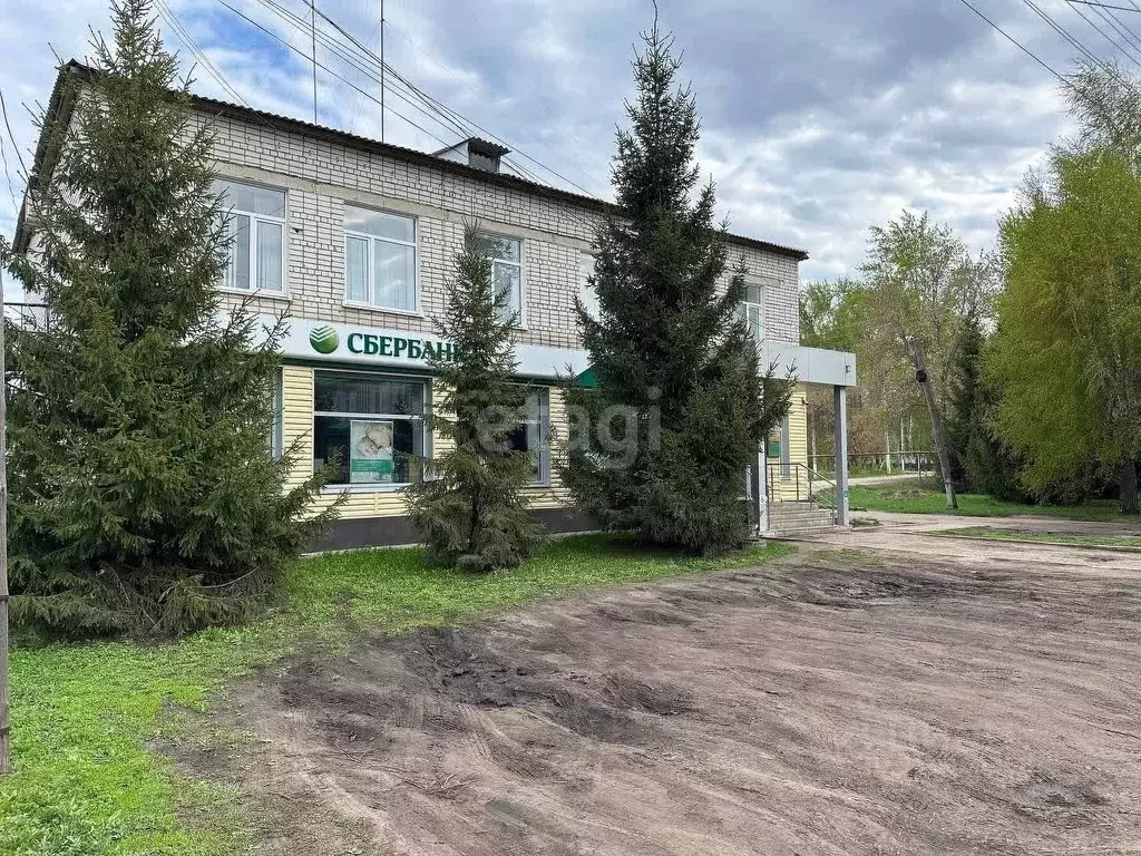 Офис в Ульяновская область, Старая Майна рп ул. Революционная, 81 (185 ... - Фото 1