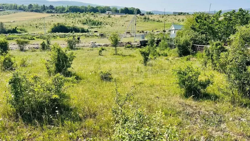 Участок в Севастополь с. Передовое, ул. Минчугова, 10 (5.61 сот.) - Фото 0