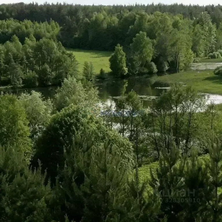 Участок в Нижегородская область, Нижний Новгород д. Кривая Шелокша,  ... - Фото 1