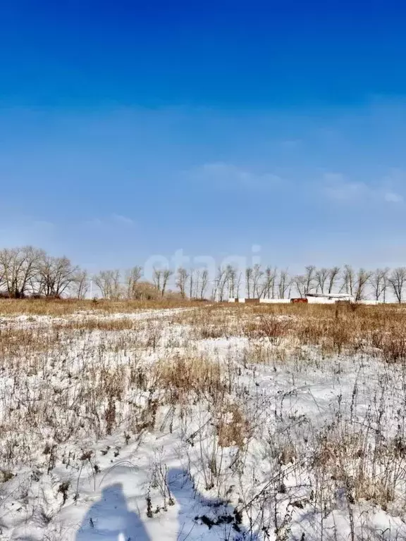 Участок в Белгородская область, Белгородский район, Дубовское с/пос, ... - Фото 1