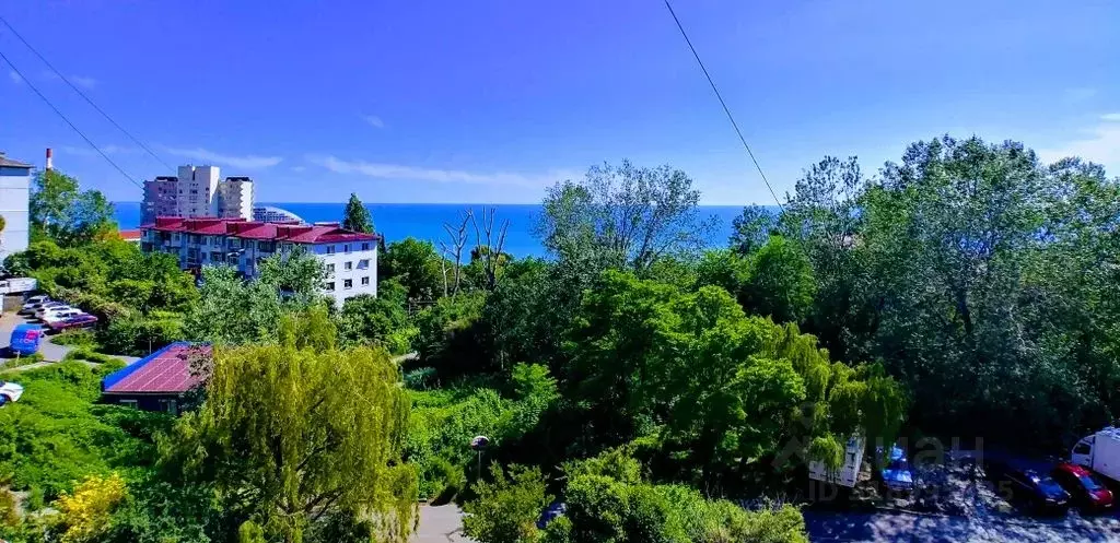 1-к кв. Краснодарский край, Сочи Курортный просп., 98/18 (30.0 м) - Фото 1