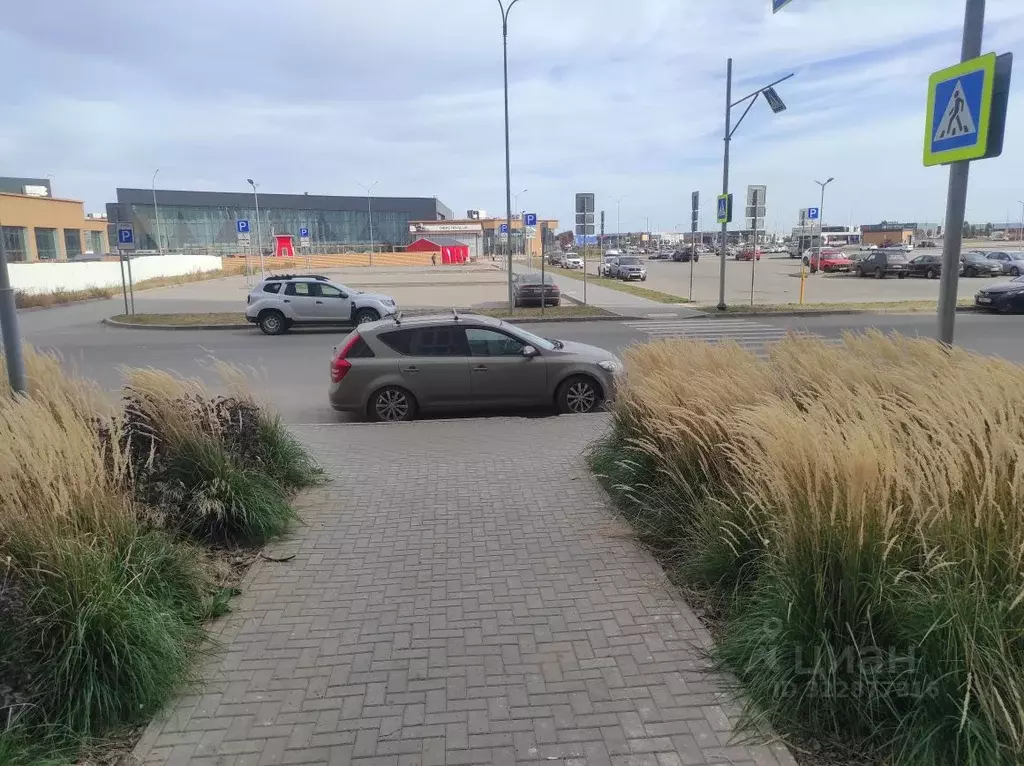 Помещение свободного назначения в Самарская область, Самара Южное ш., ... - Фото 2