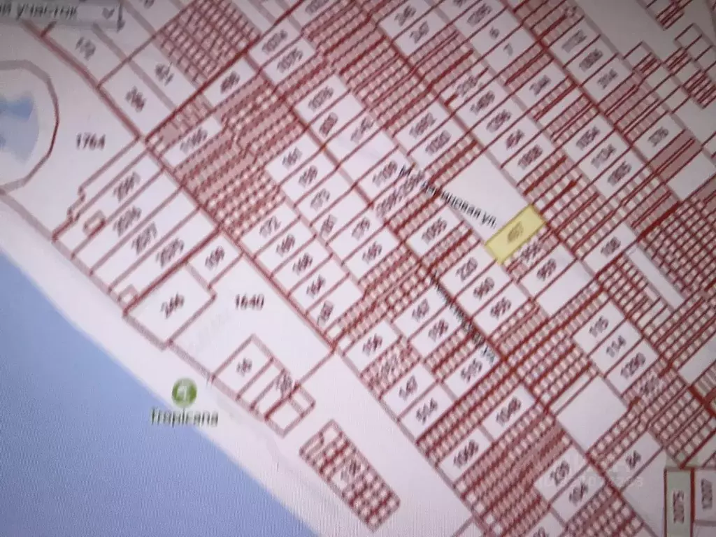 Участок в Крым, Сакский район, Молочненское с/пос ул. Мандариновая ... - Фото 2