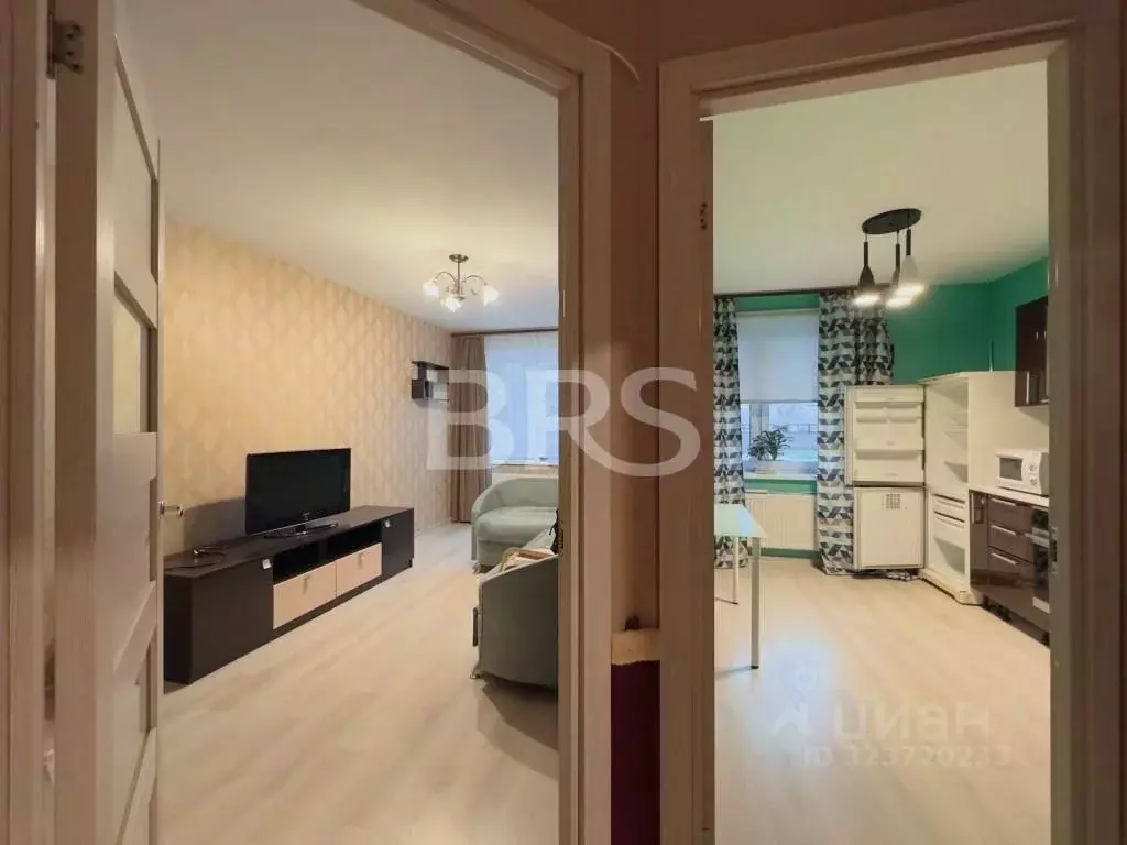 1-к кв. Ленинградская область, Мурино Всеволожский район, ул. Шоссе в ... - Фото 2