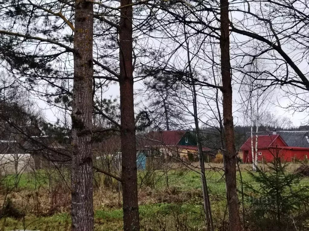 Участок в Ленинградская область, Гатчинский муниципальный округ, д. ... - Фото 2