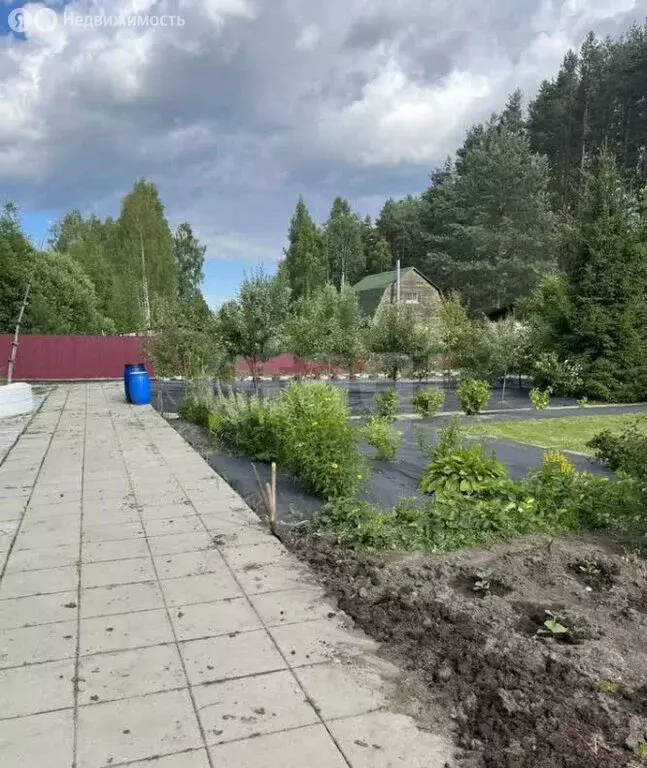 Участок в Ярославский муниципальный округ, СНТ Росток (10.52 м) - Фото 2