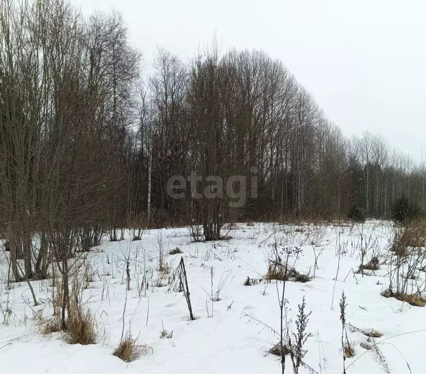 Участок в Вологодская область, Костино-2 садоводческое товарищество  ... - Фото 0