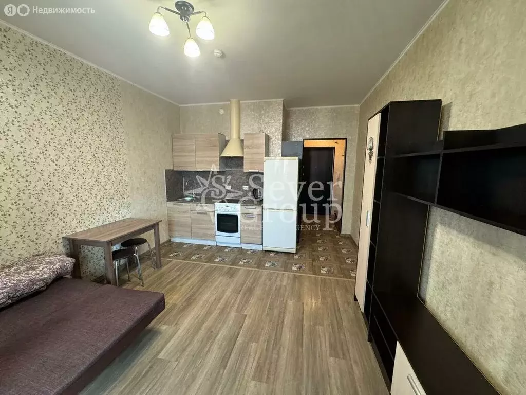 Квартира-студия: посёлок Шушары, Вишерская улица, 2 (25.5 м) - Фото 2