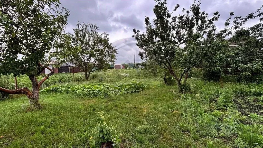 Участок в Белгородская область, Валуйский муниципальный округ, Село ... - Фото 2