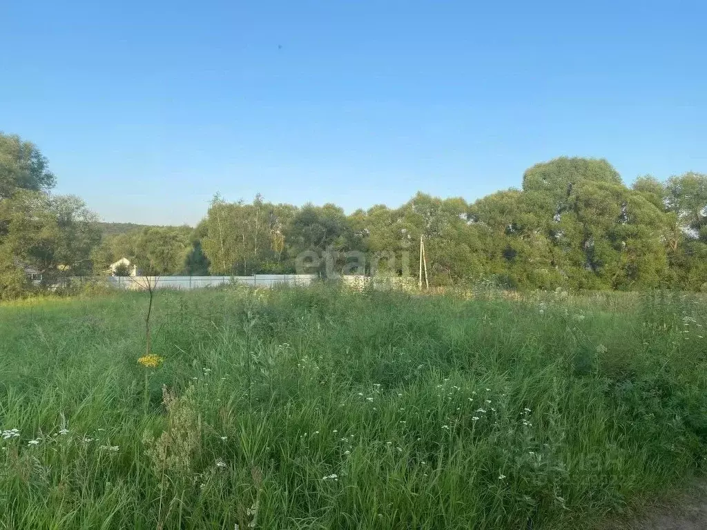 Участок в Калужская область, Город Калуга городской округ, д. Сокорево ... - Фото 1